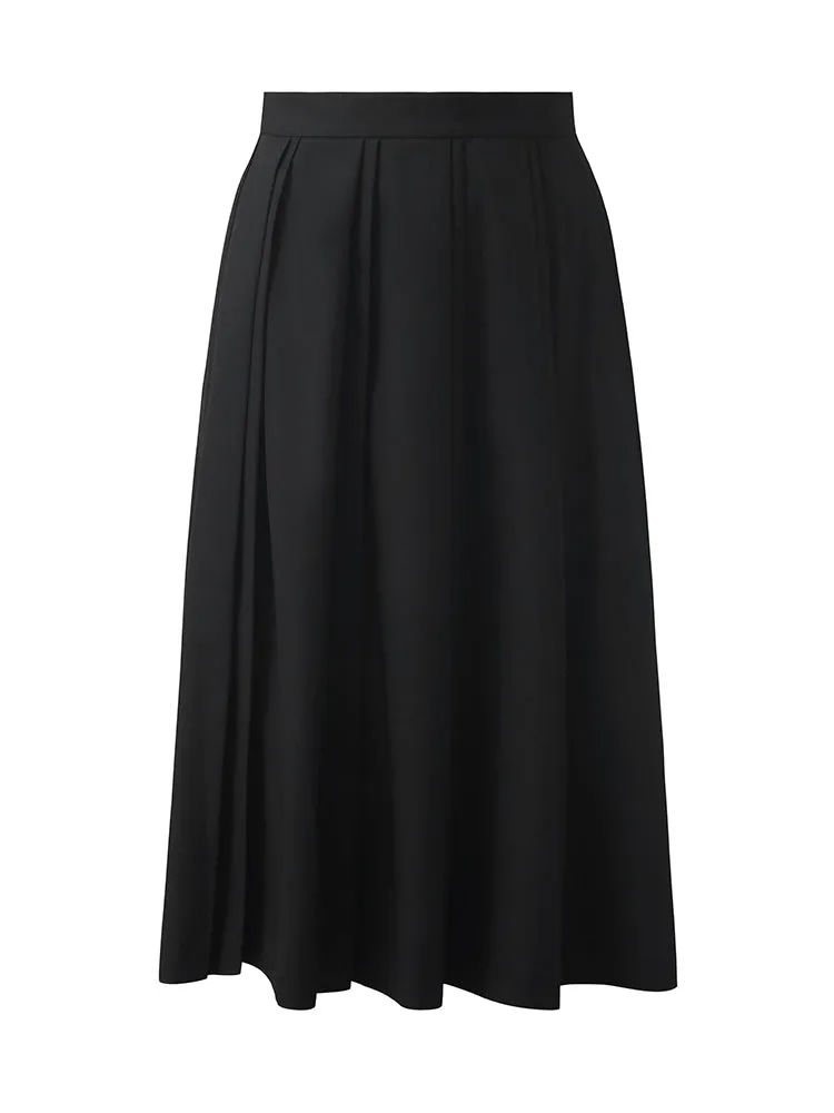 Pleated A-Line Women Skirt